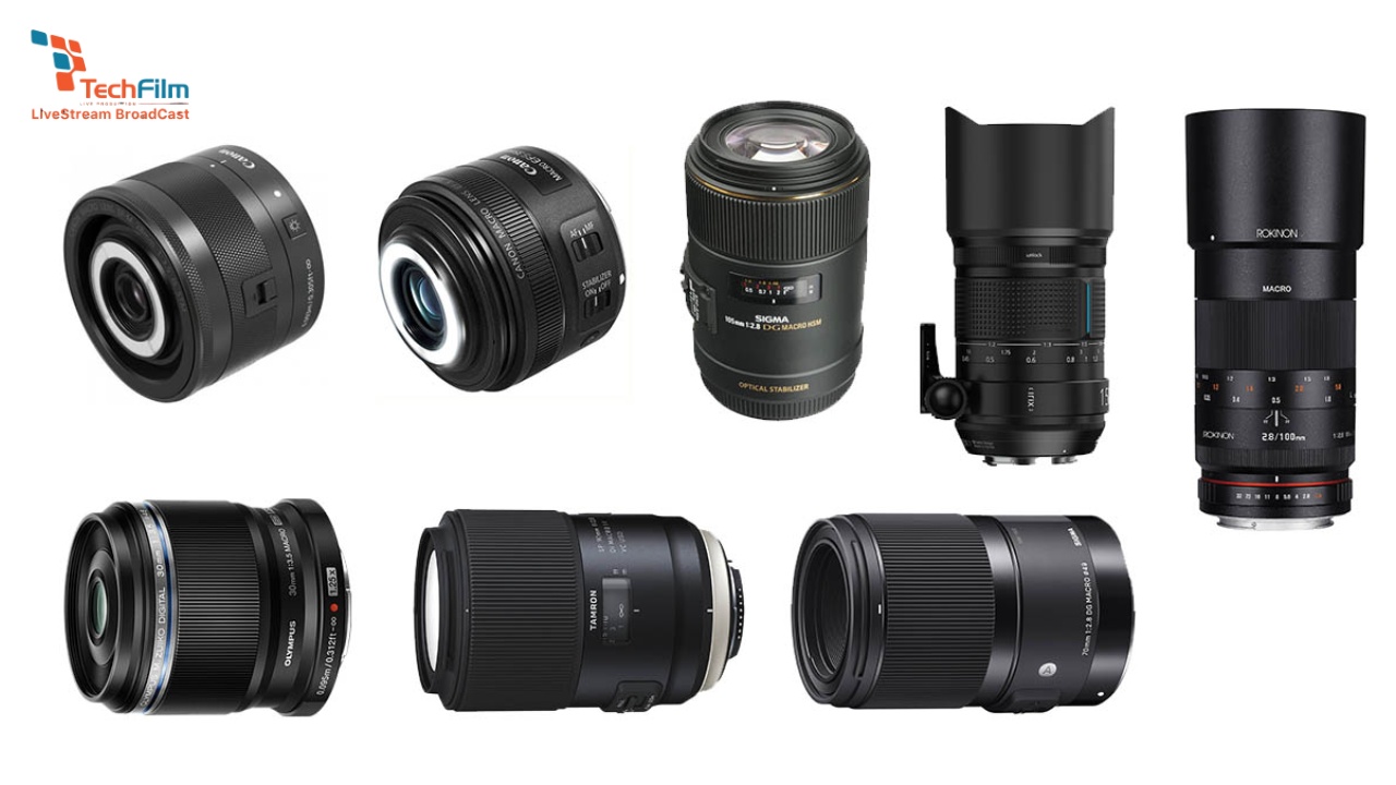 Chụp ảnh Macro là gì? Cách chụp cận cảnh với độ nét ấn tượng 5 Chọn ống kính macro phù hợp với bối cảnh