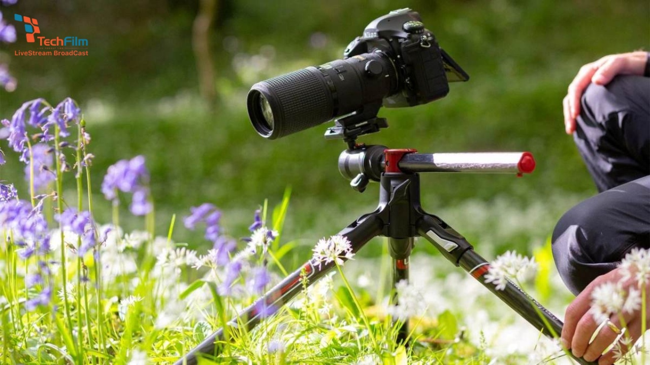 Chụp ảnh Macro là gì? Cách chụp cận cảnh với độ nét ấn tượng 9 Mẹo chụp ảnh macro đẹp mà không phải ai cũng biết