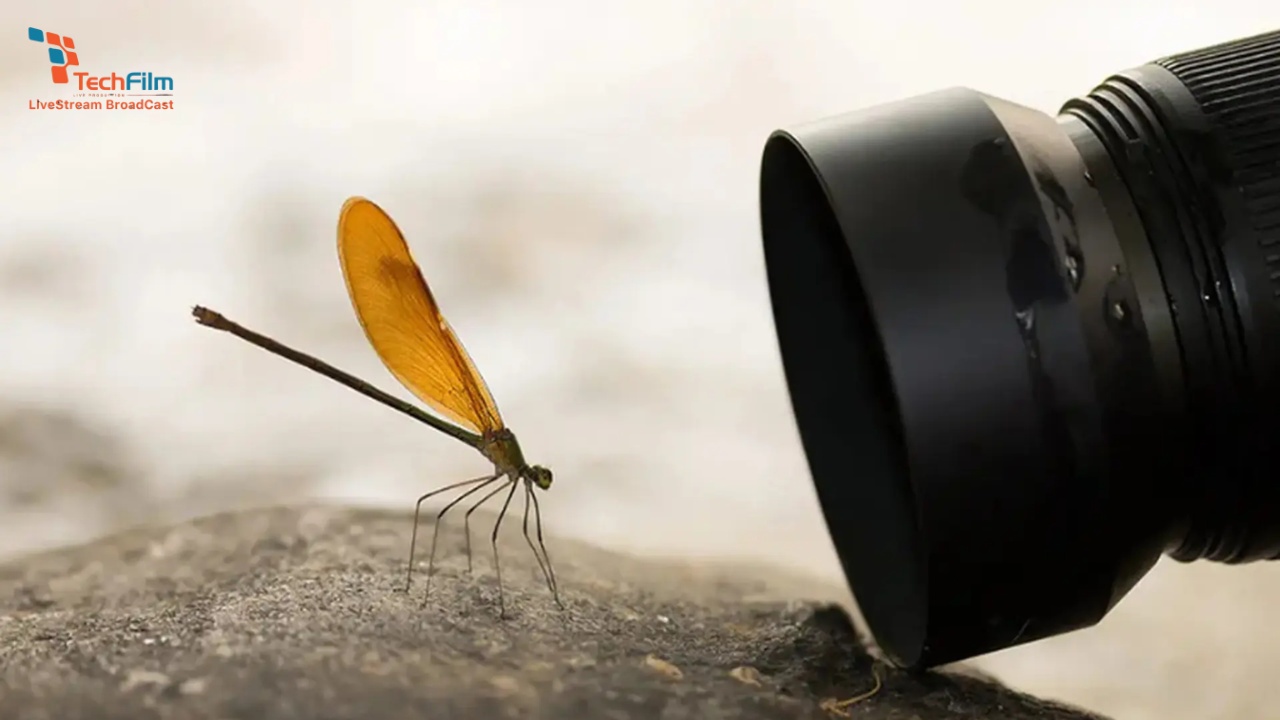 Chụp ảnh Macro là gì? Cách chụp cận cảnh với độ nét ấn tượng 2 Ống kính macro là thiết bị chuyên dụng cho kỹ thuật chụp cận cảnh