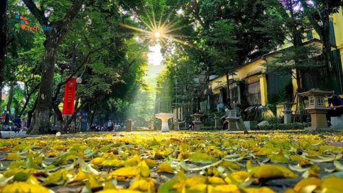 Chọn đúng thời điểm "giờ vàng