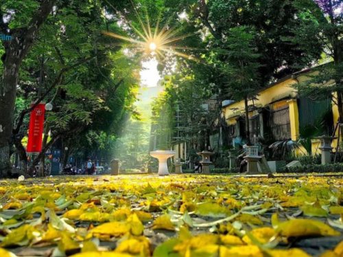 Chọn đúng thời điểm "giờ vàng