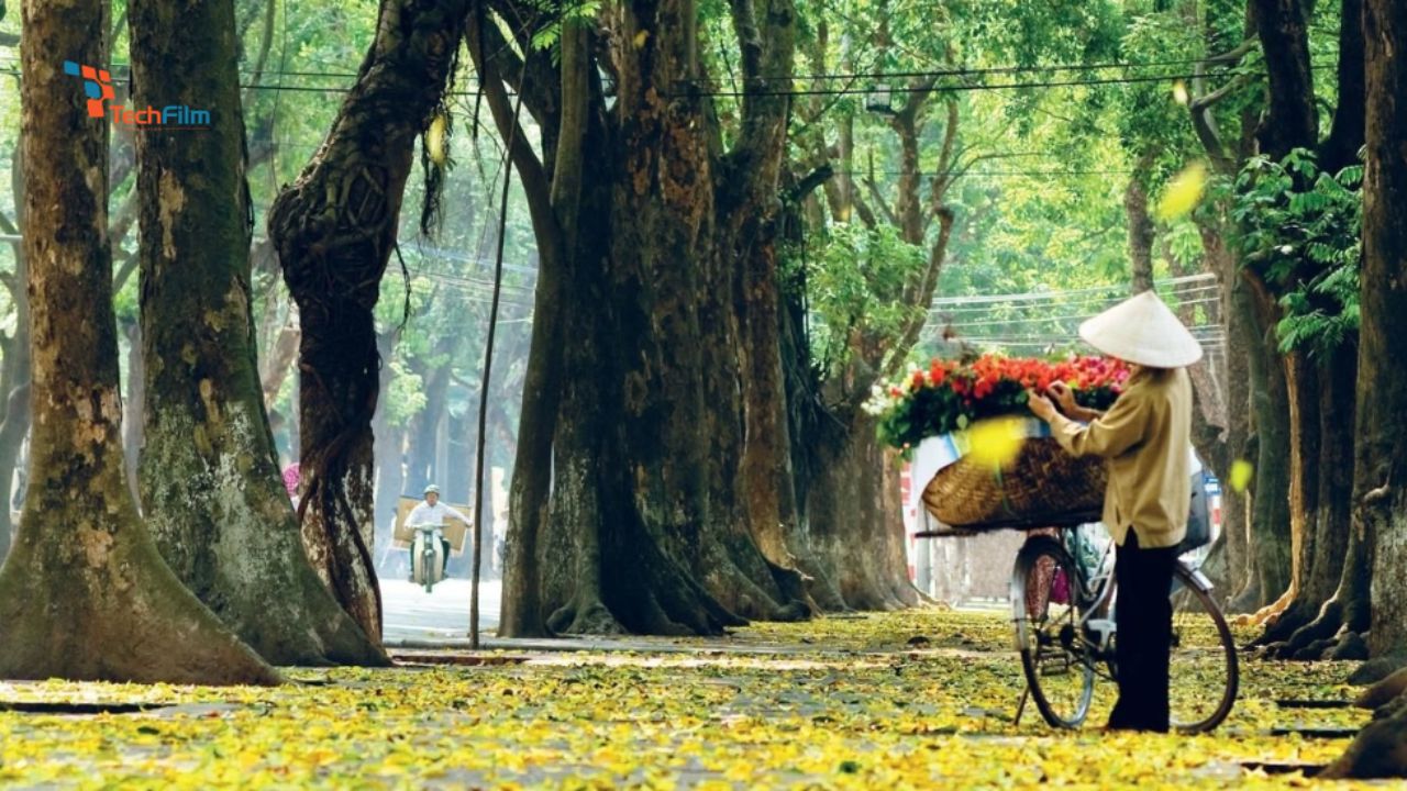 Mách bạn 5 Tips Chụp Ảnh Mùa Thu Bao Đẹp, Thu Hút Ngàn Like 7 Hà Nội địa điểm chụp ảnh mùa thu đẹp