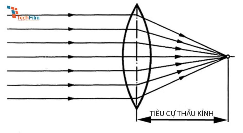 Khoảng cách giữa camera, chủ thể và hậu cảnh