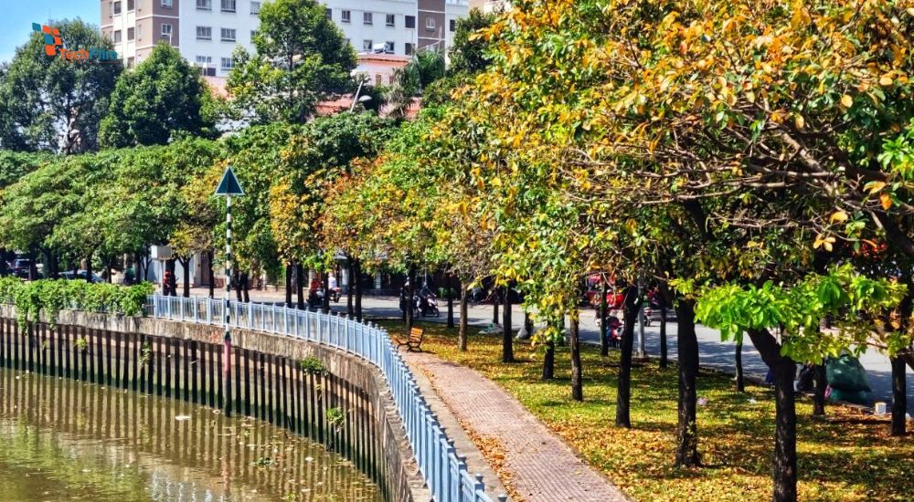 Mách bạn 5 Tips Chụp Ảnh Mùa Thu Bao Đẹp, Thu Hút Ngàn Like 9 con đường mùa thu Hoàng Sa